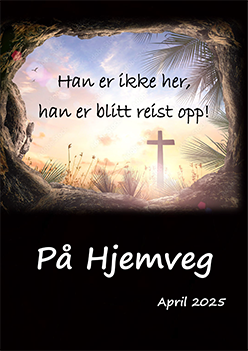 Forsidebilde av På Hjemveg